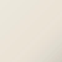 Peinture de retouche Acura Integra (1998-2002) – CHAMPIONSHIP WHITE (Code NH0)