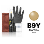 Touch-up paint for Aion Y B9Y Bliss Yellow, Complete kit