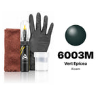 Touch-up paint for Aixam 6003M Vert Epicea, Complete kit