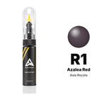 Touch-up paint for Asia Rocsta R1 Azalea Red, Basic kit