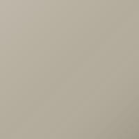Pintura de retoque Aston Martin Universal (2005-2005) – PEARL WHITE (Código 1265)