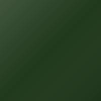 Audi A4 (2017-2018) Ausbesserungslack – SOMOMA GREEN (Farbcode LX6R)