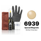 Touch-up paint for Bentley Flying Spur 6939 Special Magnolia, Complete kit