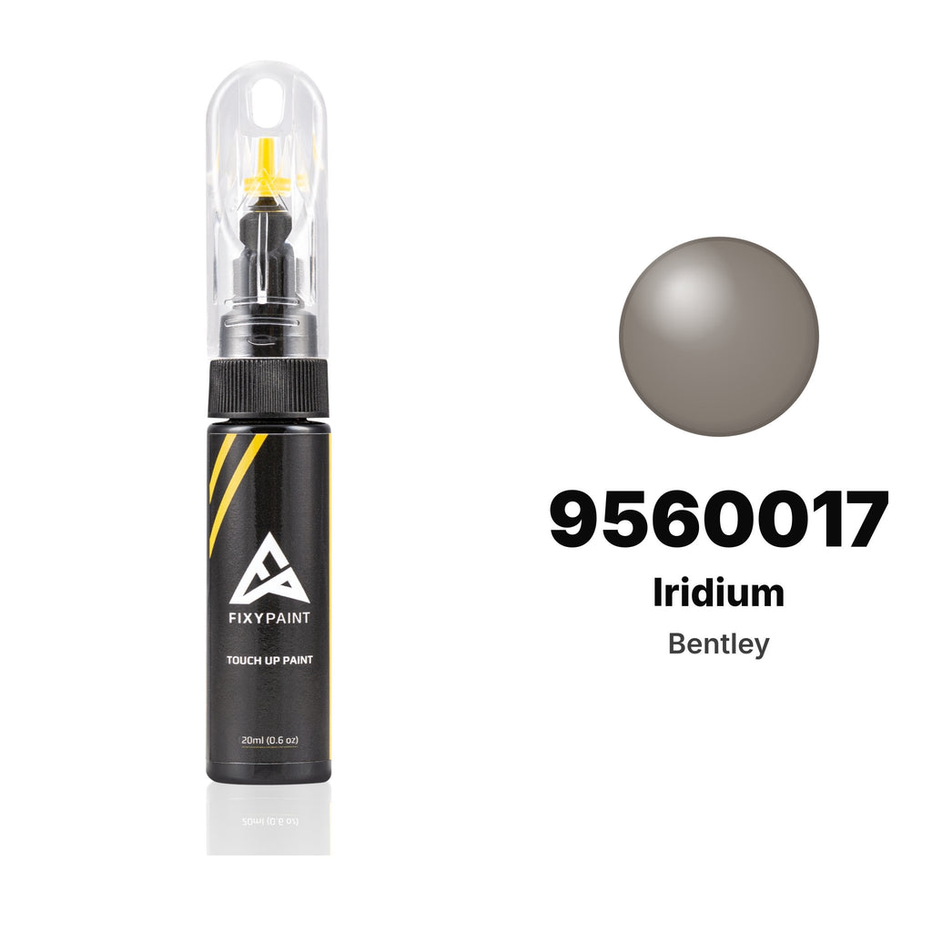 Touch-up paint for Bentley 9560017 Iridium, Basic kit