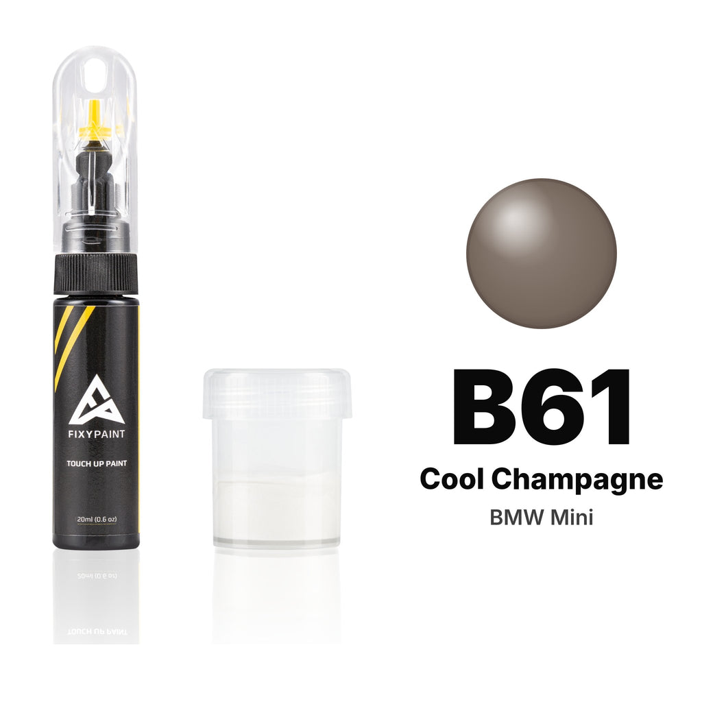 Touch-up paint for BMW Mini B61 Cool Champagne, Standard kit