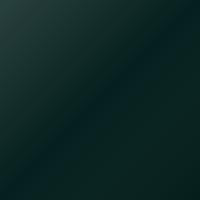 Vernice per ritocco Bmw Mini (2006-2010) – BRITISH RACING GREEN (Codice A67)