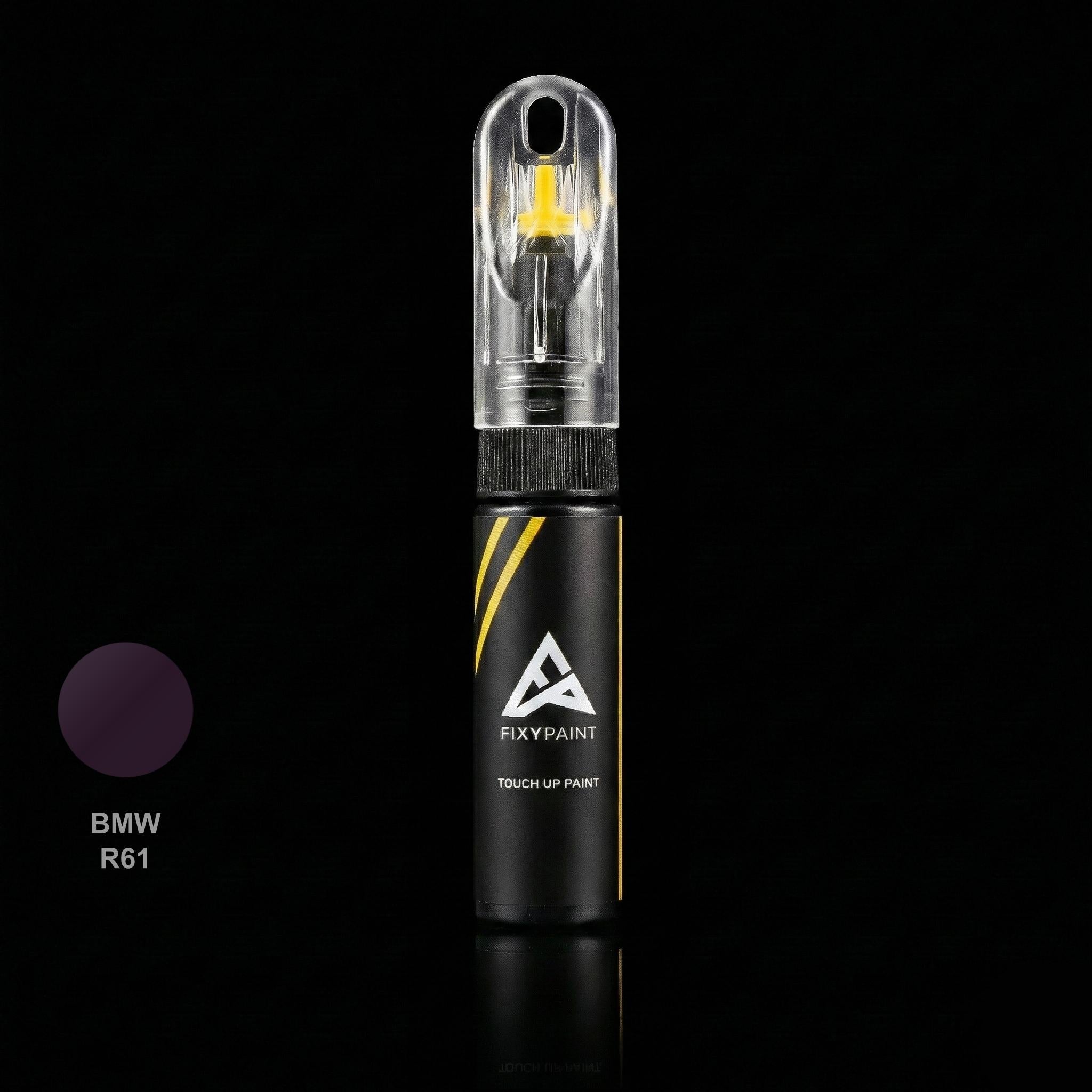 Bmw Universal touch up paint kit - PURPLE SILK R61 scratch repair