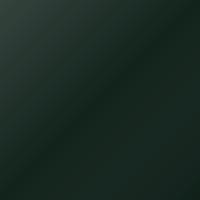Bmw Universal (2025-Present) Pintura de retoque - GOODWOOD GREEN (W67)