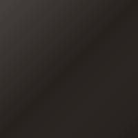 Buick Enclave (2008-2008) Vernice per ritocco - DARK COCOA ASH (WA529Q)