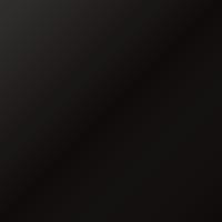 Vernice per ritocco Casalini Universal (2009-2009) – BLACK (Codice 821A)
