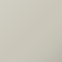 Vernice per ritocco Chatenet Universal (2010-2010) – BLANC NACRE (Codice 1002M)