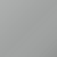 Chatenet Universal Vernice per ritocco - GRIS THALLIUM (8002M)
