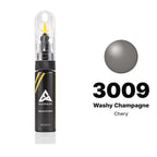 Touch-up paint for Chery 3009 Washy Champagne, Basic kit