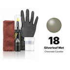 Touch-up paint for Chevrolet Cavalier 18 Silverleaf Met, Complete kit