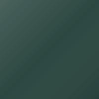 Vernice per ritocco Dacia Universal (1995-2002) – GREEN (Codice 91B5)