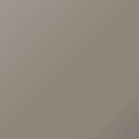 Dacia Sandero (2010-2012) Ausbesserungslack – BEIGE POIVRE (Farbcode D11)