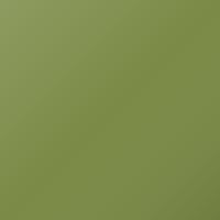 Pintura de retoque Daewoo Universal (2000-2006) – CYBER GREEN (Código 38U)