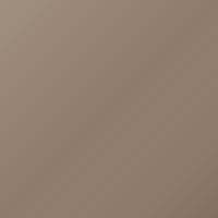 Pintura de retoque Daewoo Universal (2001-2004) – SATIN BEIGE (Código 63U)