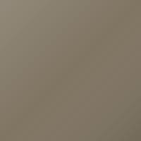 Pintura de retoque Daewoo Universal (1999-2002) – ELEGANT BEIGE (Código 65U)