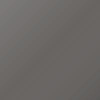 Daf Universal Standard Ausbesserungslack - AK TRANSPORT GREY (2405067)