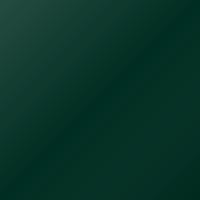 Daf Universal Standard (2023-Present) Ausbesserungslack – INT. TRANSPORT JAN GROEN GREEN (Farbcode 2406072)