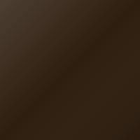 Daf Universal Standard Paint - RIGTERINK LOGISTIK BROWN (2411970)