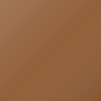 Daf Universal Standard (1997-Present) Touch Up Paint - BROWN H0881 (Code 0016)