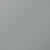 Daf Universal Standard (2003-Present) Ausbesserungslack – PLATIN (Farbcode 1635768)