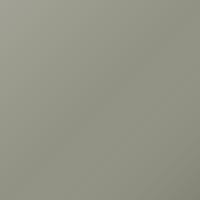 Pintura de retoque Daf Universal Standard (2008-Present) – BLANC SILVER P9930 (Código 1738252)