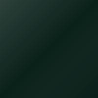 Daf Universal Standard Ausbesserungslack - LOTUS GREEN (1842750)