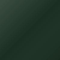Vernice per ritocco Daf Universal Standard (2011-Present) – KEIZER GREEN (Codice 1872339)