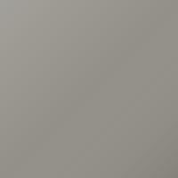 Vernice per ritocco Daf Universal Standard (2017-Present) – CASSIGNOL CHAMPAGNE (Codice 2148953)