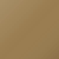 Daf Universal Standard (2018-Present) Ausbesserungslack – WELLKAWEE GOLD (Farbcode 2210405)
