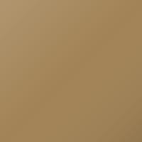 Daf Universal Standard Ausbesserungslack - GLOGGNER GOLD (2297298)