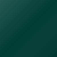 Vernice per ritocco Daf Universal Standard (2020-Present) – DICKINSON SKIP GREEN (Codice 2304880)