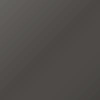 Daf Universal Standard Vernice per ritocco - NATIONAL GUARD (2451637)