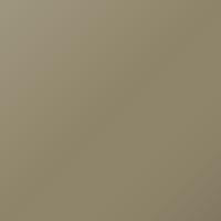 Daf Universal Standard (1990-Present) Touch Up Paint - GELBGRAU (Code 70539)