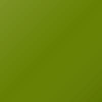 Dodge Charger (2017-2022) Ausbesserungslack – GREEN GO (Farbcode PGM)