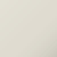 Dodge Neon (2000-2006) Ausbesserungslack – STONE WHITE (Farbcode PW1)