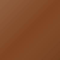 Vernice per ritocco Evobus Universal (2009-Present) – COPPER (Codice 1597)