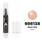 Touch-up paint for Ferrari 666138 Royal Tulip, Standard kit