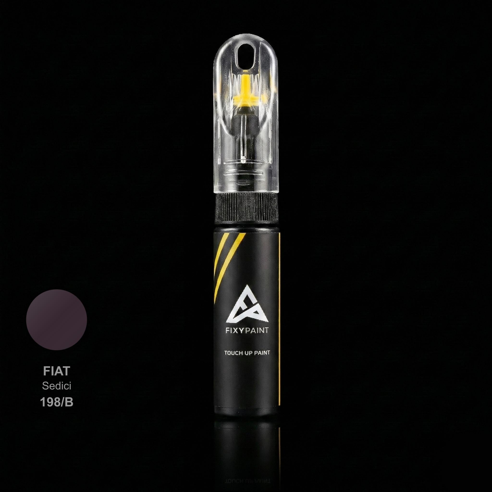 Fiat Sedici touch up paint kit - VIOLA RIBELLE 198/B scratch repair