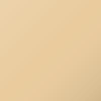 Vernice per ritocco Fleet France Universal (2018-Present) – AUTOAPRO BEIGE MAT (Codice 3232T)