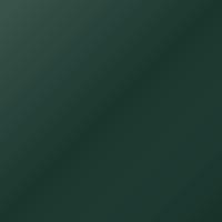 Vernice per ritocco Fleet U.k. Universal (2012-Present) – CATERHAM F1 ANNIVERSARY GREEN (Codice 6222T)