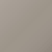 Ford Universal (2002-2002) Ausbesserungslack – CHAMPAGNE SILVER (Farbcode 4F)