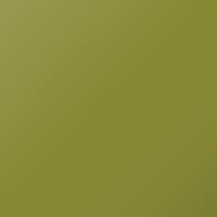 Ford Figo (2011-2012) Ausbesserungslack – SQUEEZE (Farbcode 8GGCWWA)