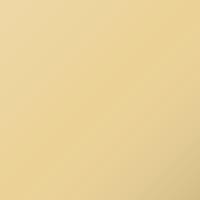 Ford Universal (1995-1999) Ausbesserungslack – MING YELLOW (Farbcode BD)