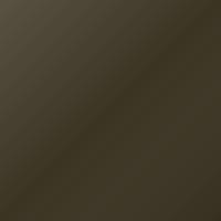 Ford Universal (1994-Present) Ausbesserungslack – YELLOW OLIVE (Farbcode D4T)
