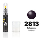 Touch-up paint for Ford Escort 2813 Belladonna, Standard kit