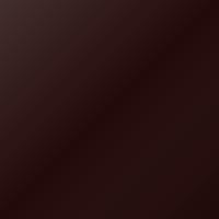 Ford Explorer (2003-2003) Ausbesserungslack – AUTUMN BROWN (Farbcode B4)